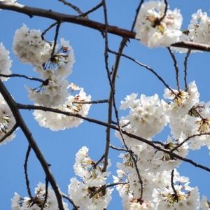 Meet your Posher, Jacie